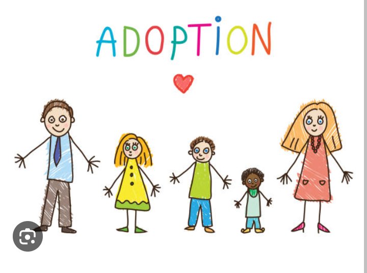 There's a children's book that's just been released....it's about a little dog who found unconditional love through adoption 🩵
Purchase your copy for that special child in your life.
seniorstaffyclub.co.uk
thisismichellecamm2020.co.uk
<a href="/SeniorStaffy/">Senior Staffy Club Dog Rescue</a> <a href="/NHSDDICB/">NHS Derby and Derbyshire 💙</a> <a href="/RPD2025STELLA/">Retired Police Dog Stella the Staffie</a> <a href="/bbcemt/">BBC East Midlands</a>