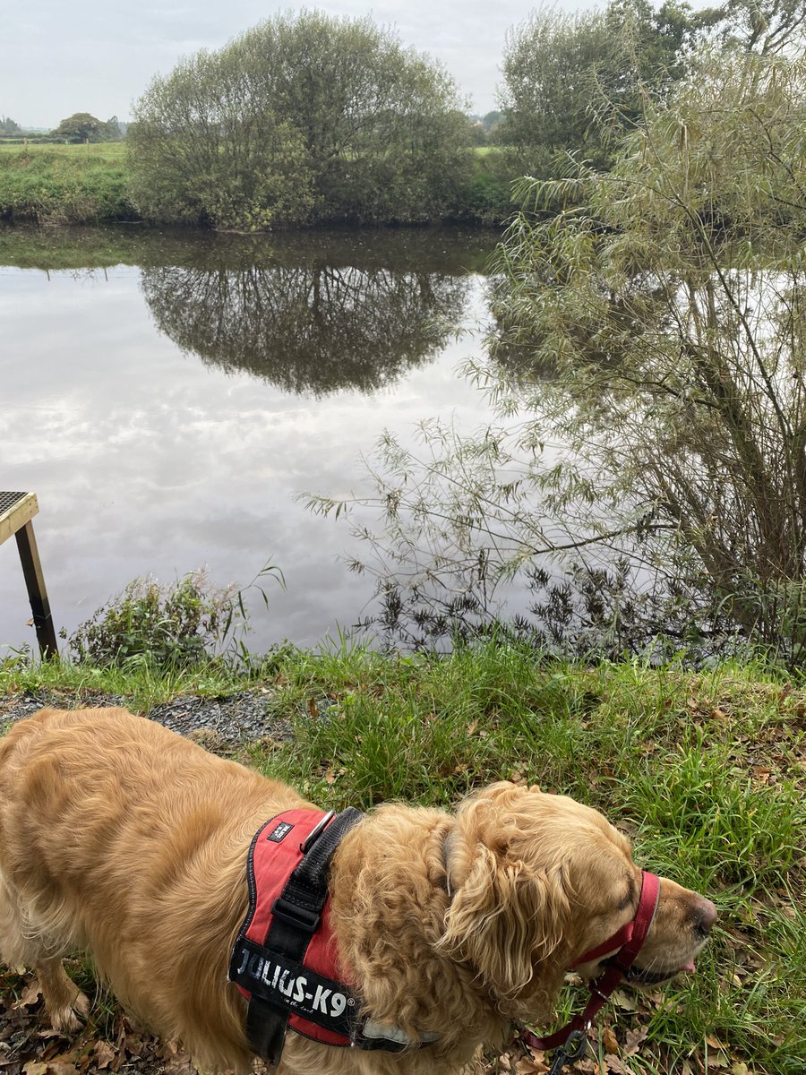 HelenDuffay's tweet photo. Beautiful warm quiet walk along the canal trail, Blackwater River, the Argory in the background. Perfect start to the day. @visit_armagh 🛶🐾🍎🌰 https://t.co/xuRiQpECkq