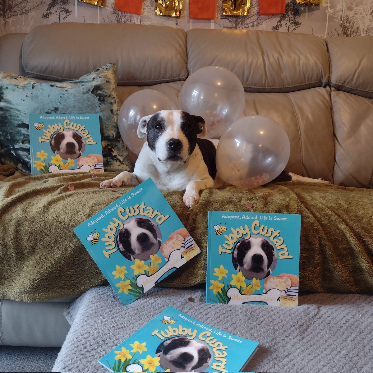 Grab your copy and help donate to dog rescue in the process 🩵🩵🩵
seniorstaffyclub.co.uk
Every sale donates £2 to homeless staffy's