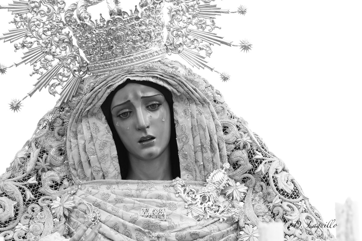 Momentos_dl's tweet photo. #RosarioPM23
@HdadPinoMontano https://t.co/x2BZL3oJ1y