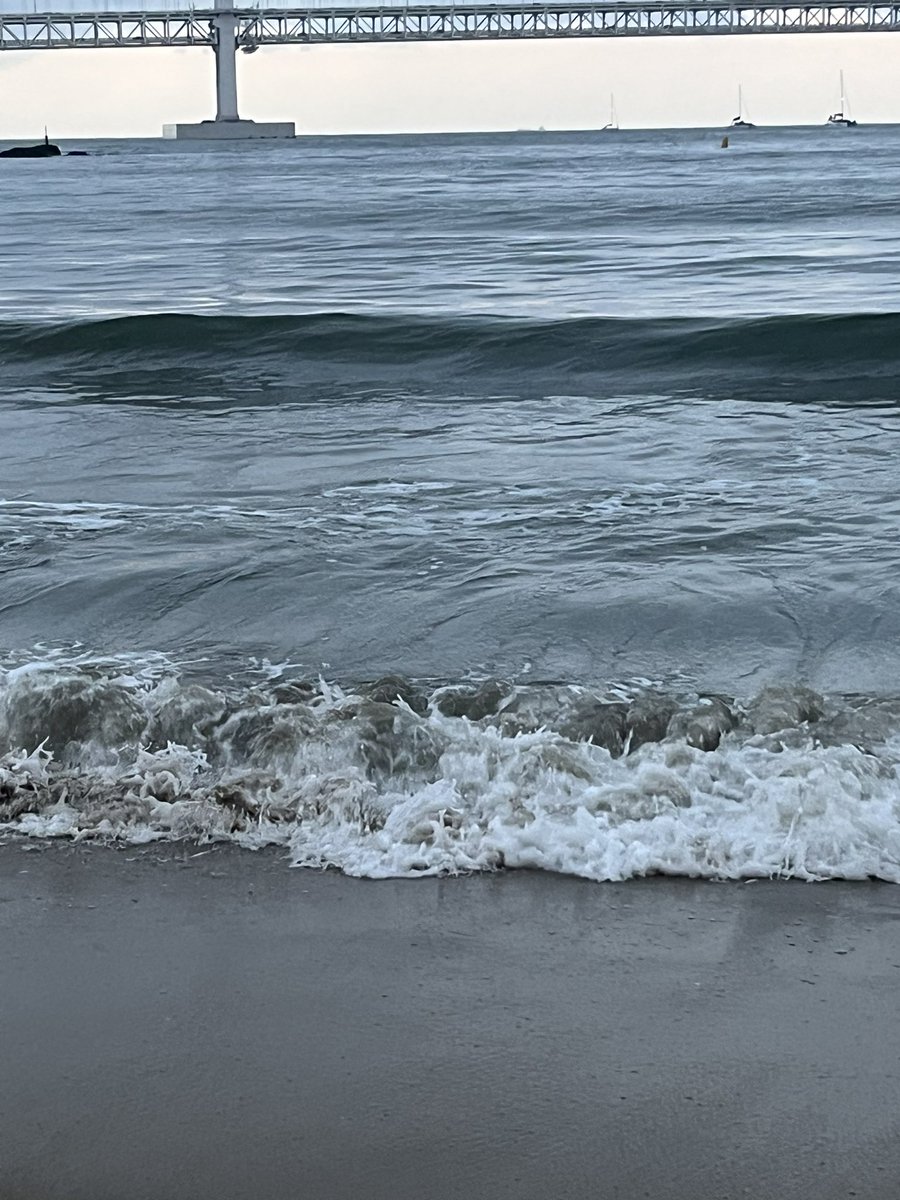 appleeeeeeee22's tweet photo. 나 혼자 부산 타래 🌊🫧

목표는 바다 실컷 보기.ᐟ https://t.co/nP7JWQTRJj