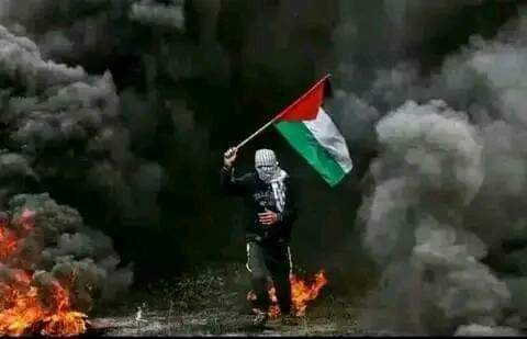 taha jamel (@tahajamel6) on Twitter photo 