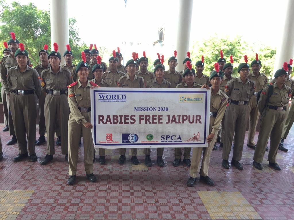 I7raj's tweet photo. 7 राज इंडेप कम्पनी एनसीसी, यूनिवर्सिटी राजस्थान कॉलेज, जयपुर के एनसीसी कैडेट्स(World Zoo Patrol) द्वारा, WORLD NGO के साथ में मिलकर 69 वन्य जीव सप्ताह मनाया।
@HQ_DG_NCC 
@NCCDteRajasthan 
@AMBER_ROYALS https://t.co/N9t6vPYvwD