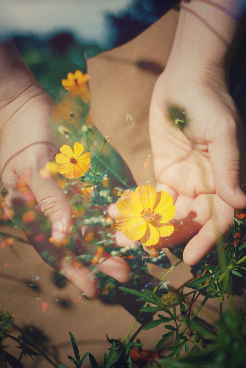 ポケットがいっぱいだった頃

 #多重露光