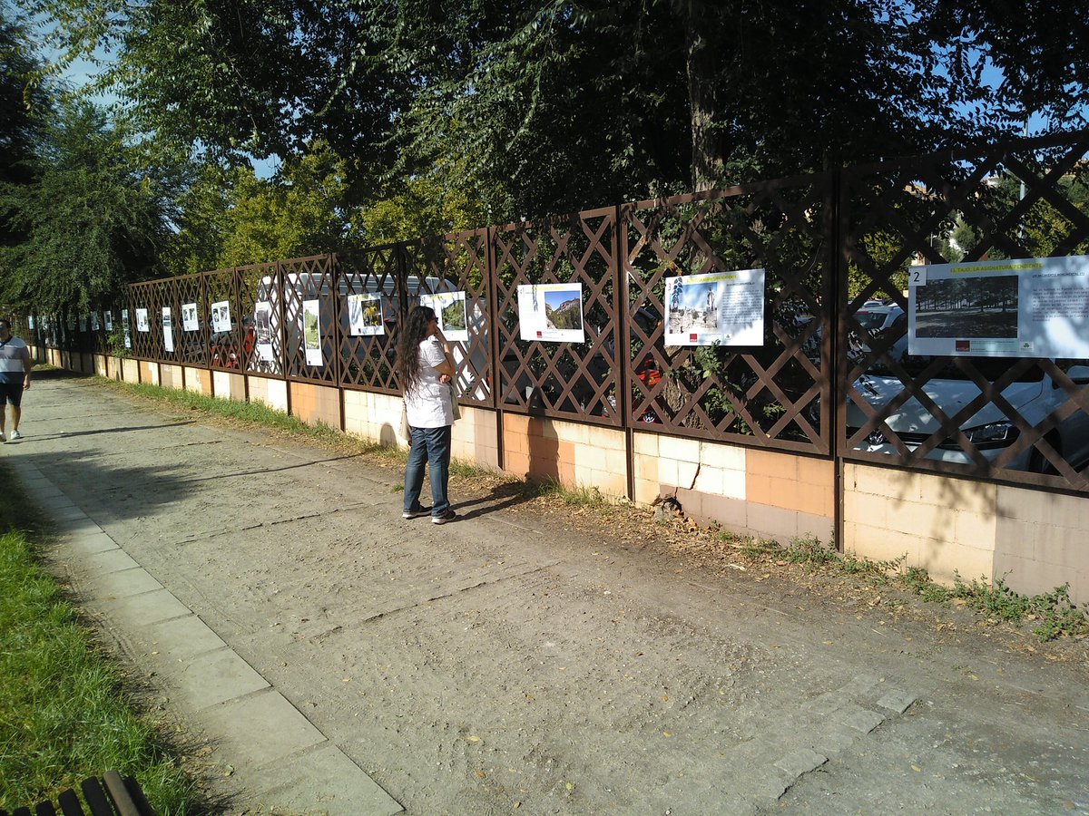 tajotoledo's tweet photo. Hoy estamos celebrando el Día Vecinal 2023 en el Parque de Safont.
Hemos colocado la exposición del Tajo y un stand donde puedes colaborar con la defensa judicial del Tajo haciendo una aportación o comprando uno de nuestros bonos.
¡Que el Tajo no te sea indiferente!
¡Colabora! https://t.co/xL4lHC15QC