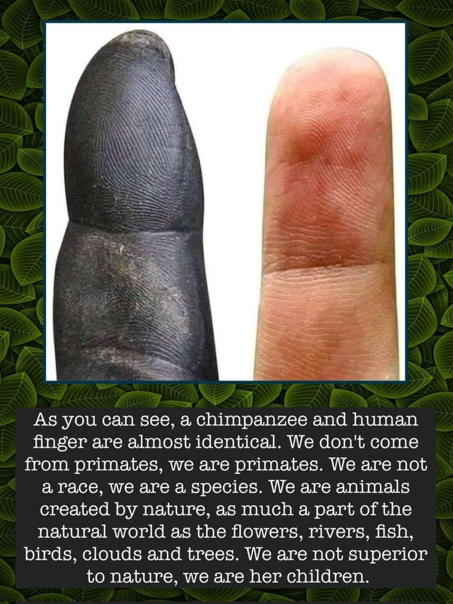 An FYI for Trump and the MAGA racists: