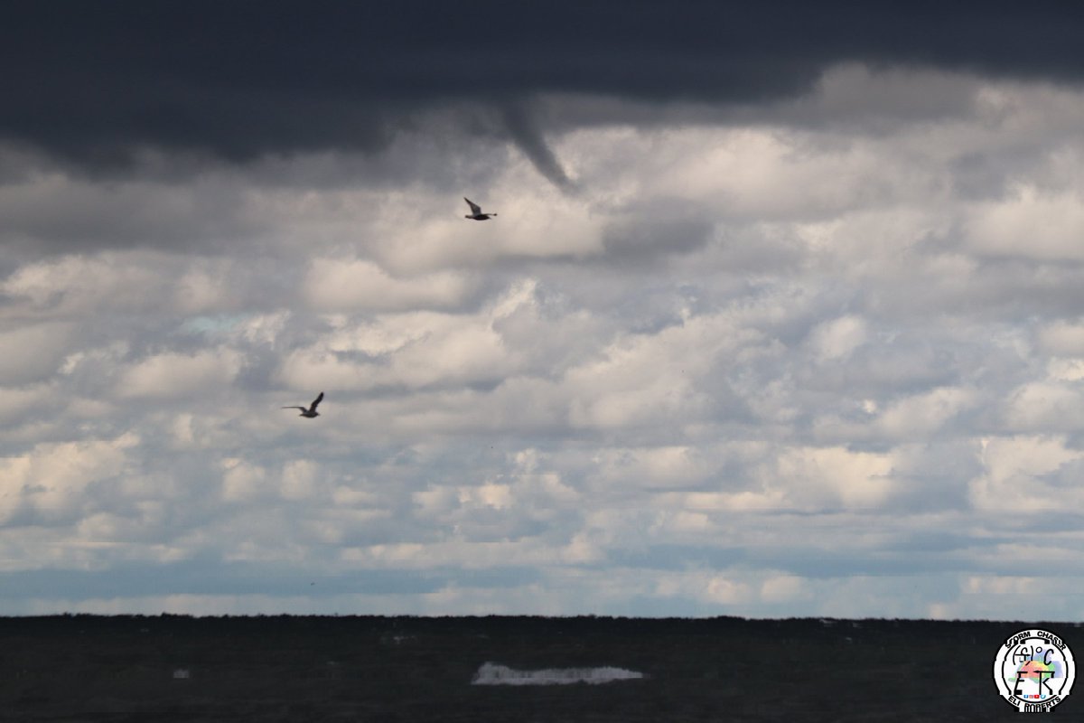 SCEliRoberts's tweet photo. The amount of waterspouts on Lake Erie yesterday was pretty "twisted"! This was the view from Shades Beach, Erie, PA.
#pawx #nwscle #icwr https://t.co/aDG8afbZIx