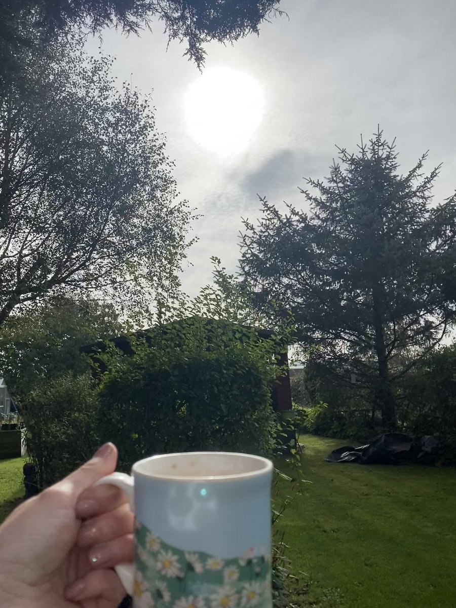 Rammo22's tweet image. Blessed with another beautiful day. Brew time…al fresco. 
It’s the simple things 😊 #Autumn #LineDry #Brew #LifeIsGood