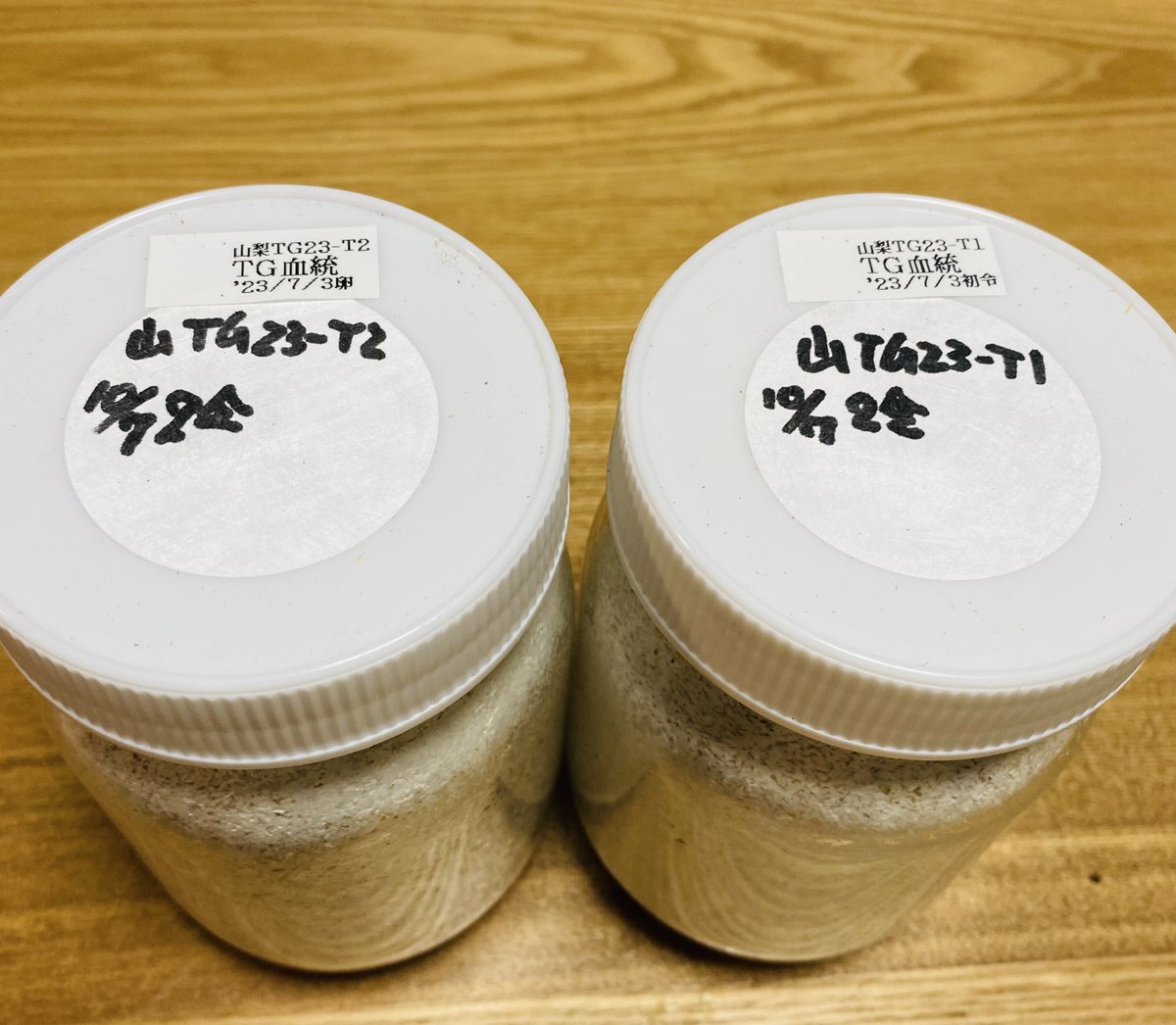 kantamaruTV's tweet photo. TOPGUNさんで購入したTG血統とリエンさん。そして、もう一種、新しい〝かんたの相棒”もGET❗️そちらは動画で紹介予定です。楽しみが増えましたー😊
@10pGun
#TG血統 #リエンさん #72mm https://t.co/vzHFEv9xwc