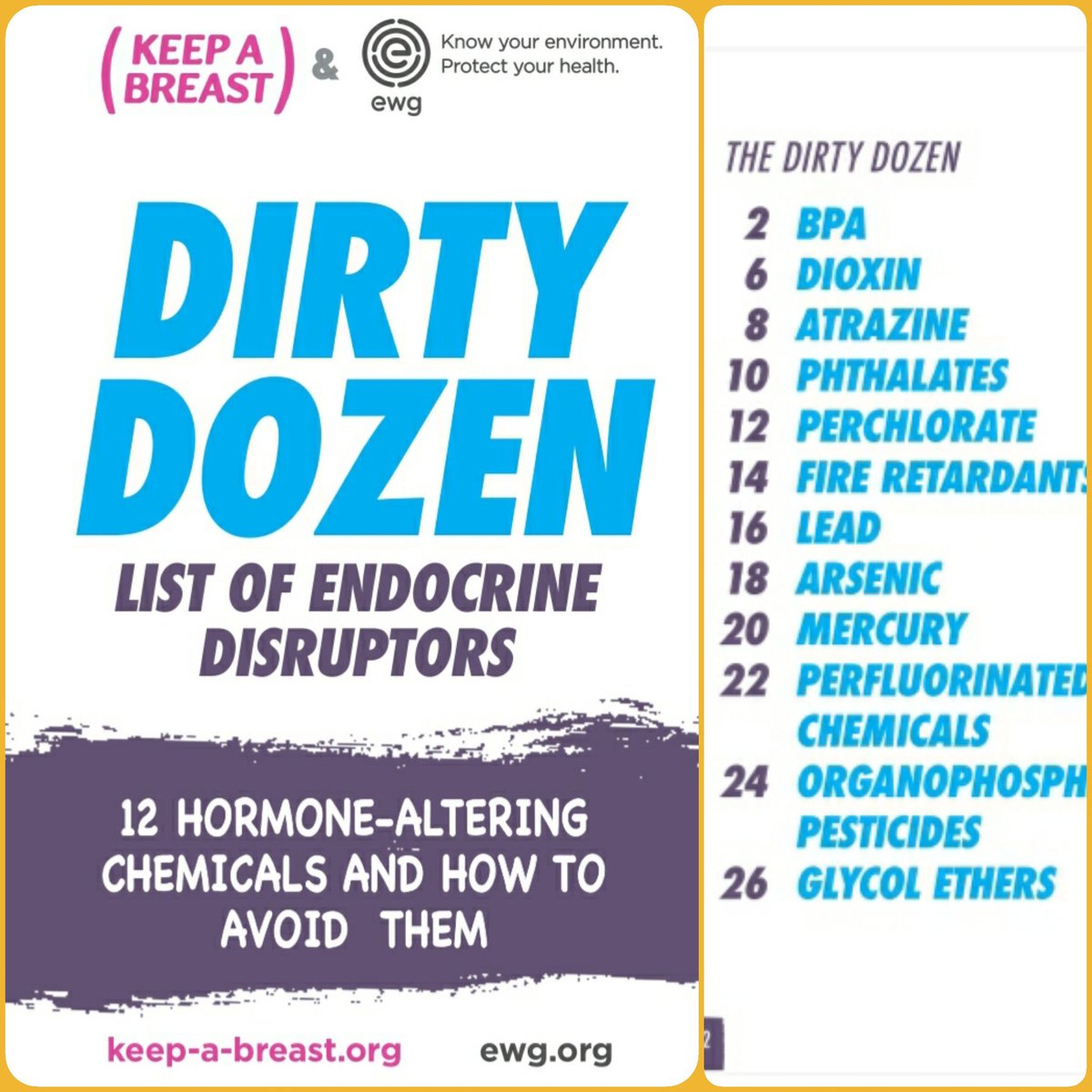 jodykr150's tweet photo. *Dirty Dozen List Of #EndocrineDisruptor*

*_12 Hormone - Altering Chemicals And How to Avoid Them_*

https://t.co/flrRv9VLzM https://t.co/VaQAjsUspA