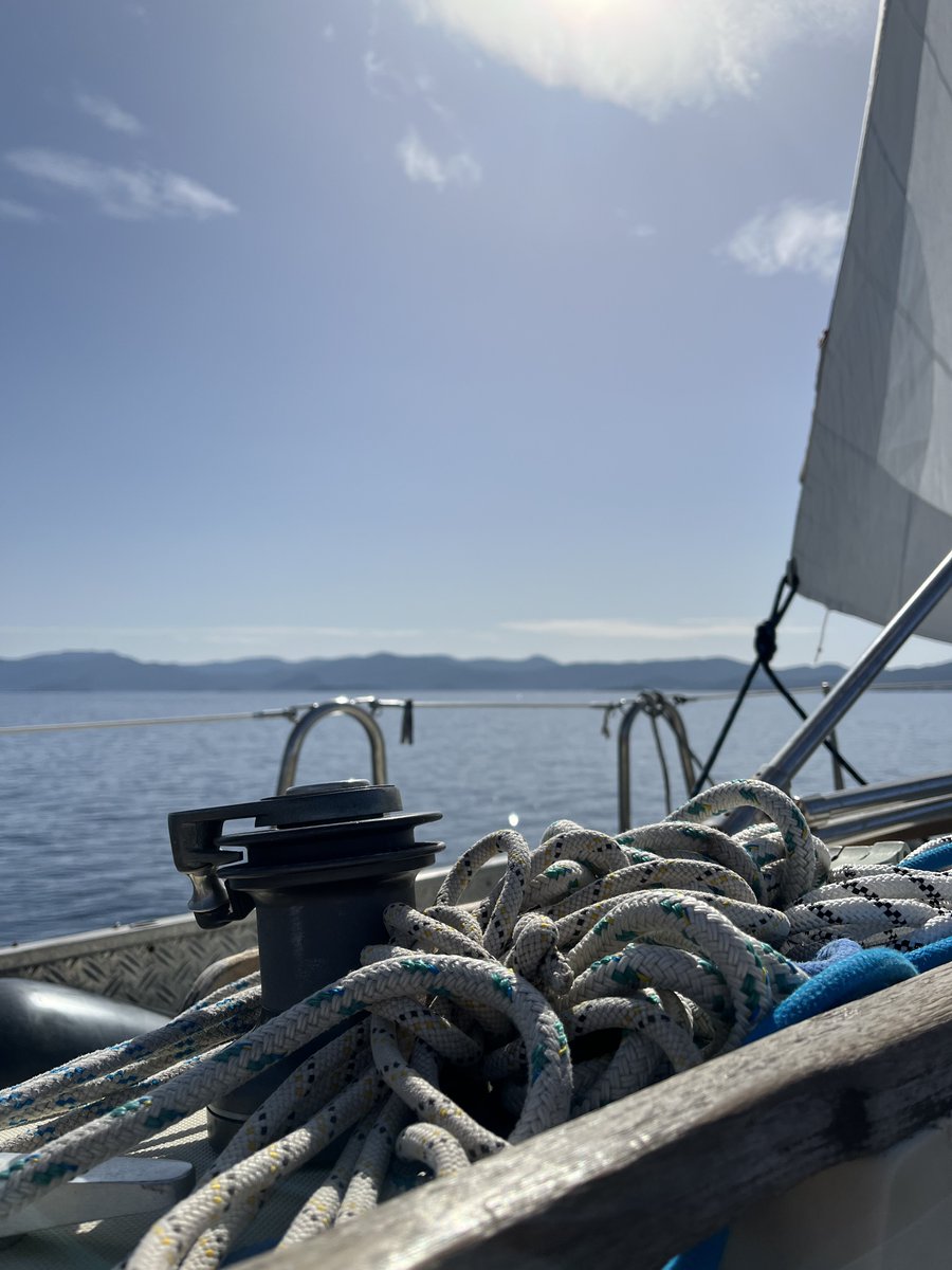 aeon_tea's tweet photo. Sails up https://t.co/Zw47ZlAh6G
