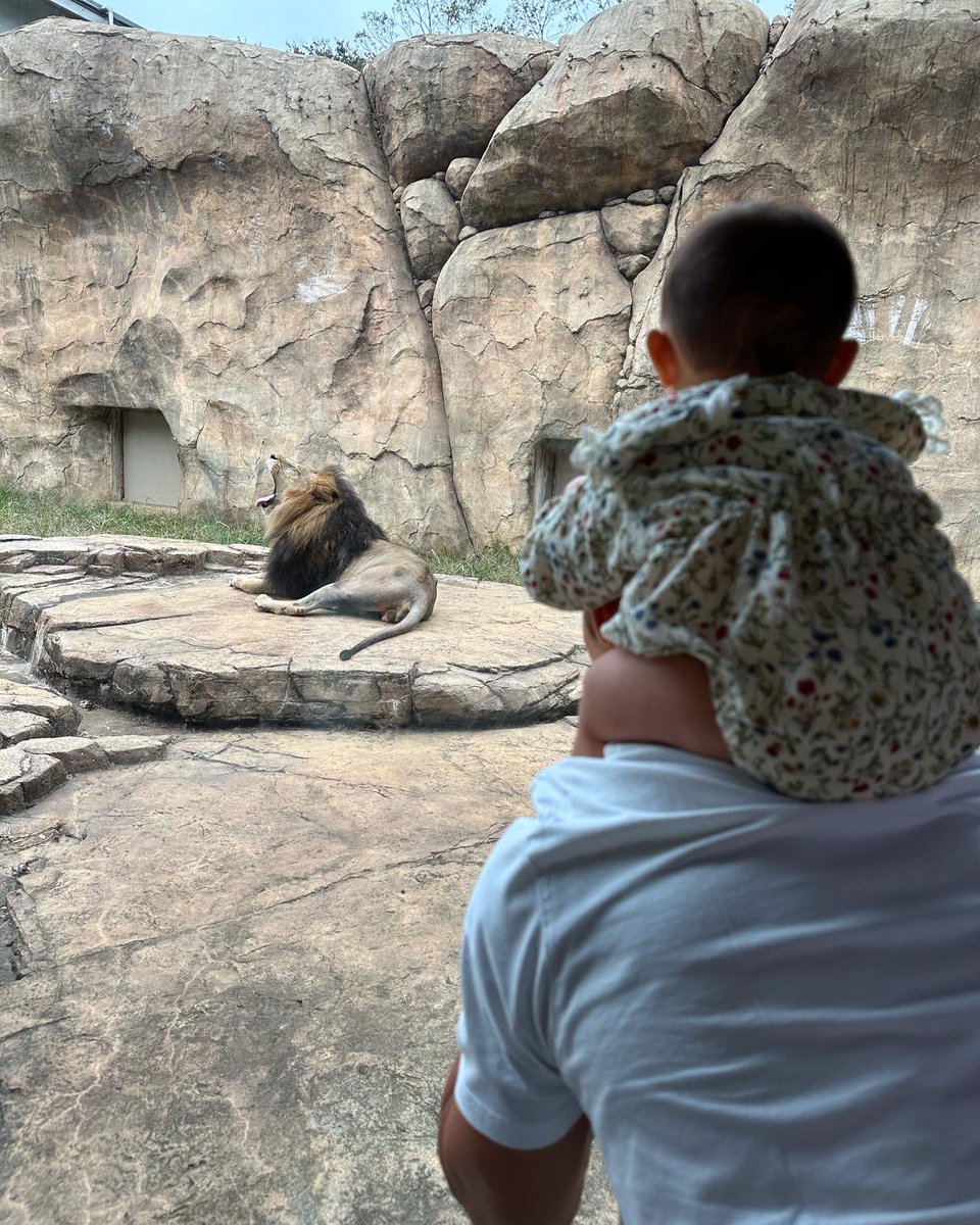 We had a good Sunday 🤣🫶🏼 🦁🐘🐼 動物園行ってきました🤣🫶🏼 #UncleLife #叔父頑張ってます