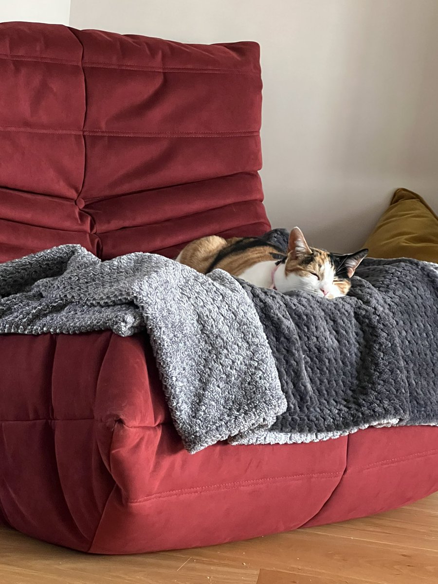 🐠 Jillian tweet media