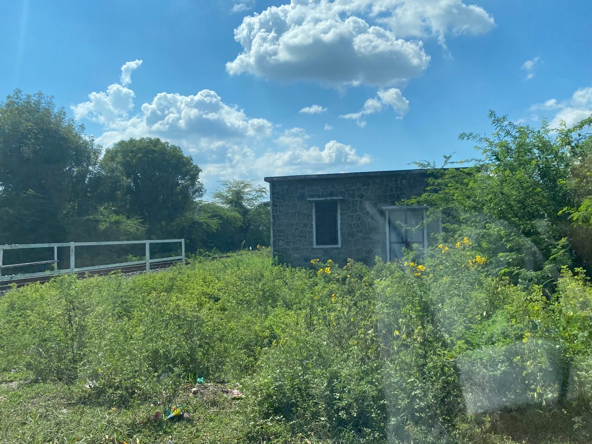 घर बहुत साल में बना 

नक़्शे बने, ईंटें पकी
दीवारें चुनी, छत तनी
सरिये लगे, किश्तें कटी

इस से तो मैं तिनके चुन लेता 
पत्तों से दीवारें बुन लेता
अपने पास अपनी जगह बना लेता

क्या होता अगर मैं घर नहीं घोंसला बना लेता