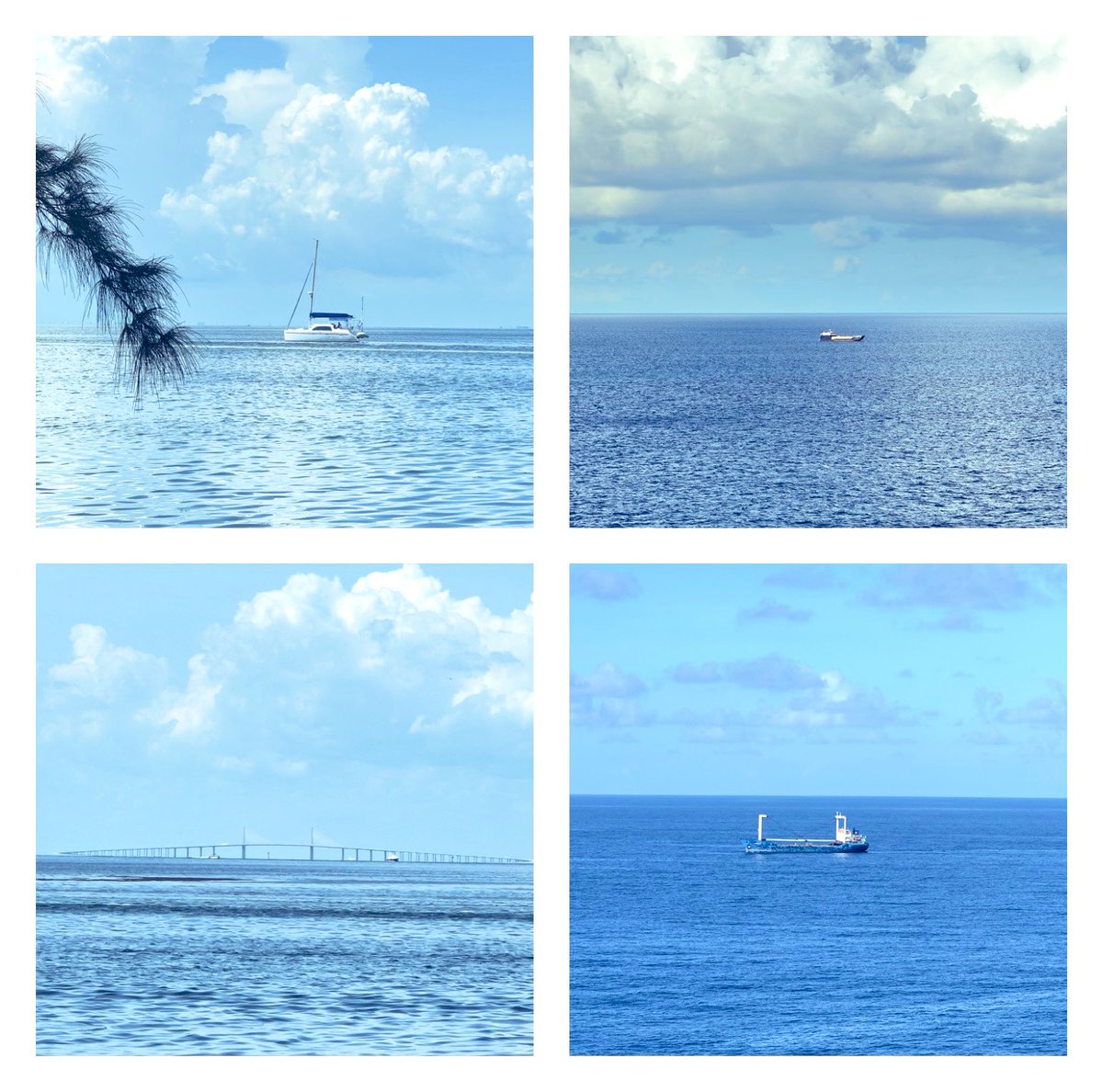 iskra_sparky's tweet image. 🌊Happy Sunday 🌊🐚🩷

#DzienDobry
#PositiveEnergy
#GreatVibes