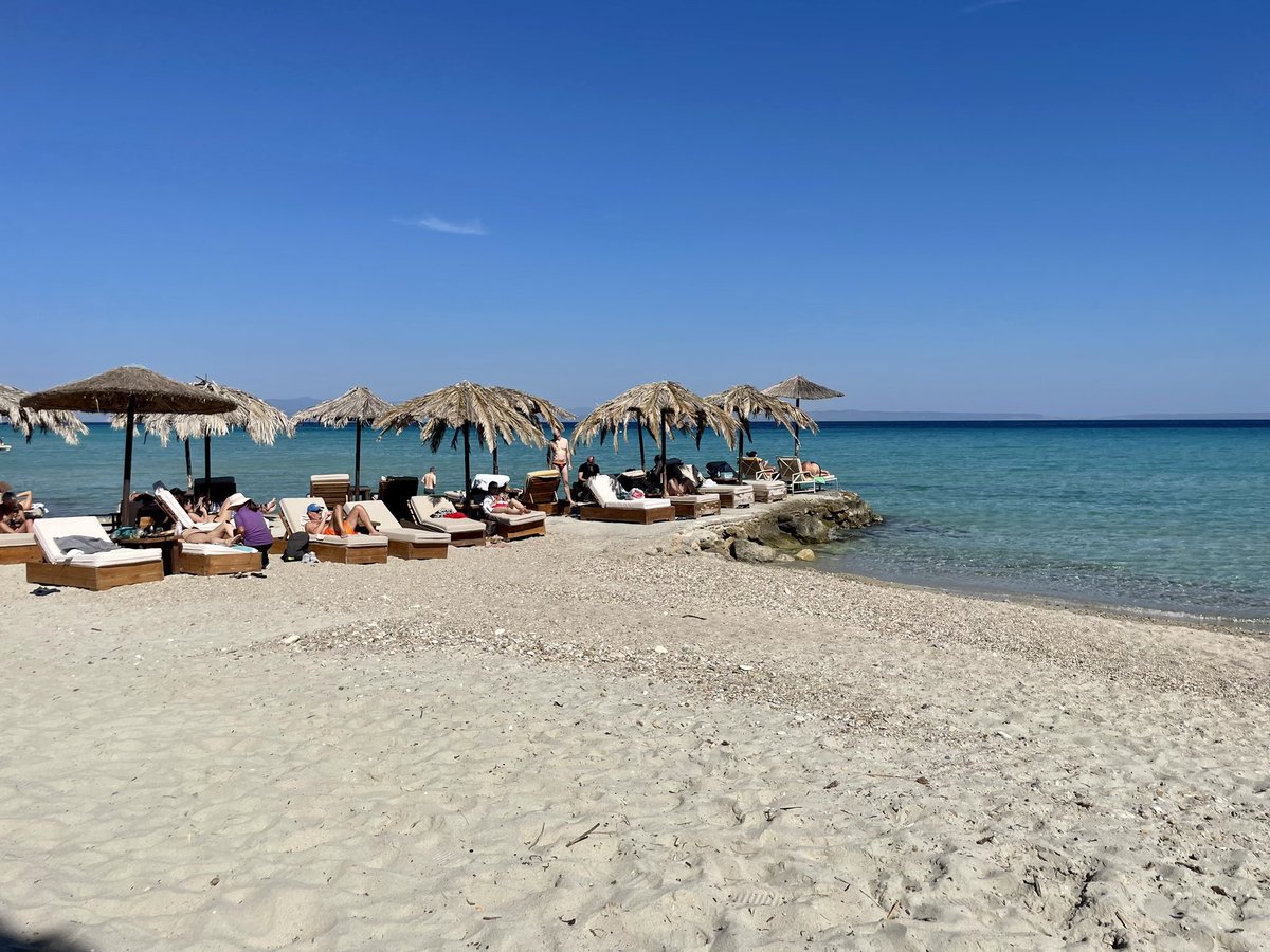 Chris Wilson tweet media