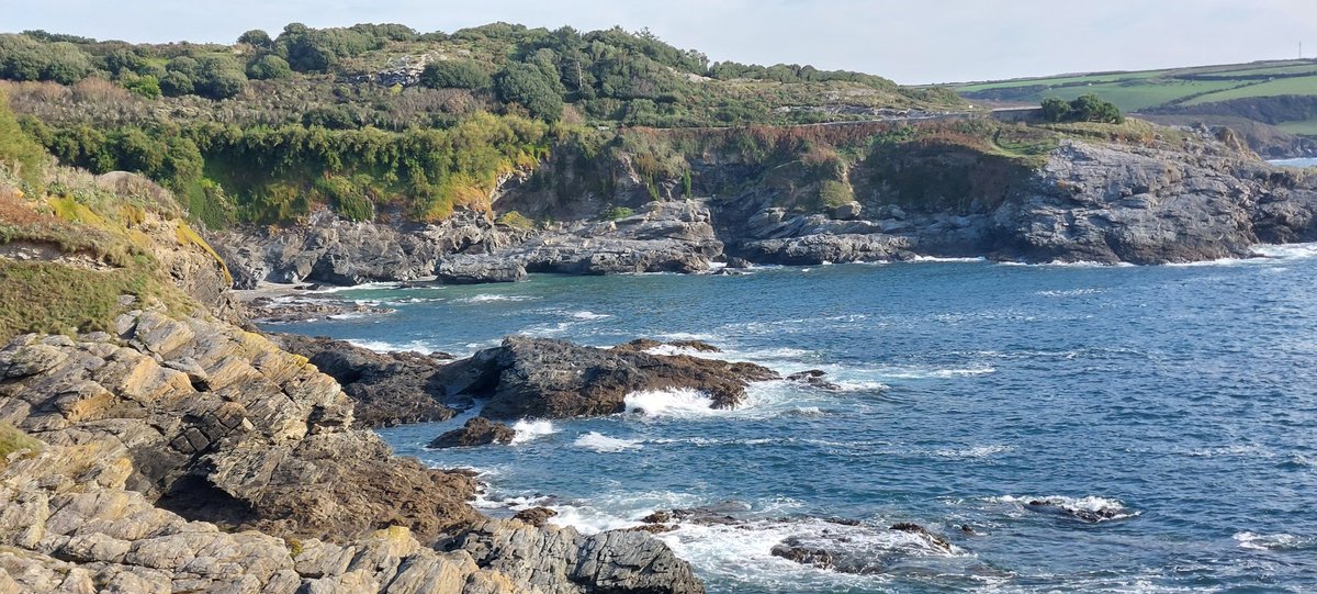BevHunt72's tweet photo. Lovely stretch of coastpath on #Walk32 of my 55 walk challenge to raise funds for #OneMedicine @HumanimalTrust ...rugged coastline..charming coves and a pretty kitty. Heading inland now..
https://t.co/Qfp9d2j80g https://t.co/V6HWa8plHS