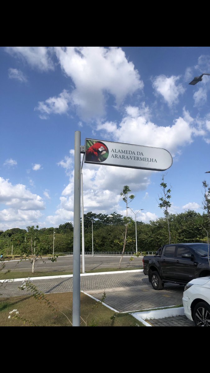 CanalSTARBOY's tweet photo. Rolê saudável no parque do utinga 

Link: https://t.co/gsvq2myB1l

#parquedoutinga #utinga https://t.co/bHC92OpuzK