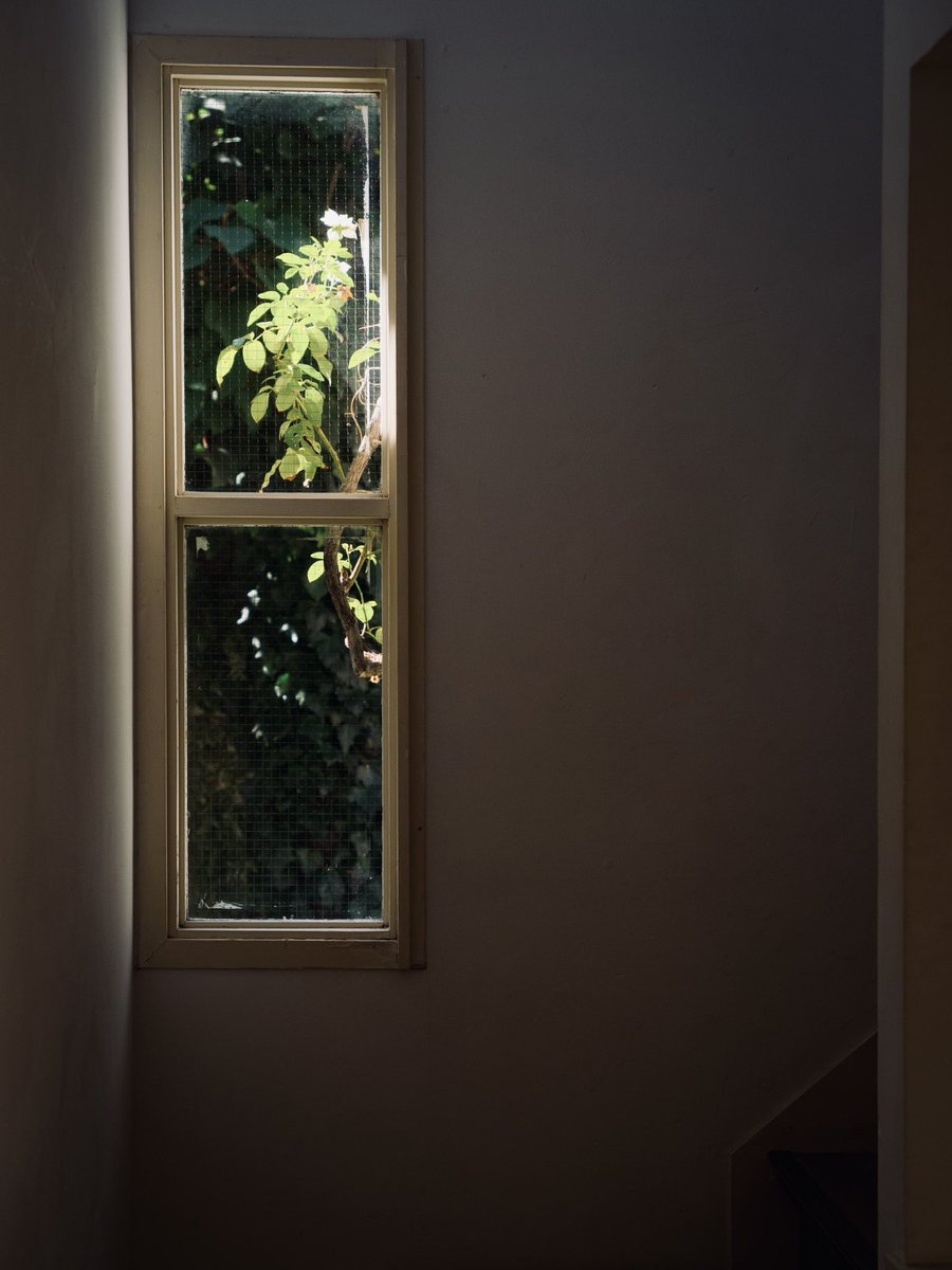 noirphoto1's tweet photo. 窓

#architecturalphoto https://t.co/4ytKdPLRa5