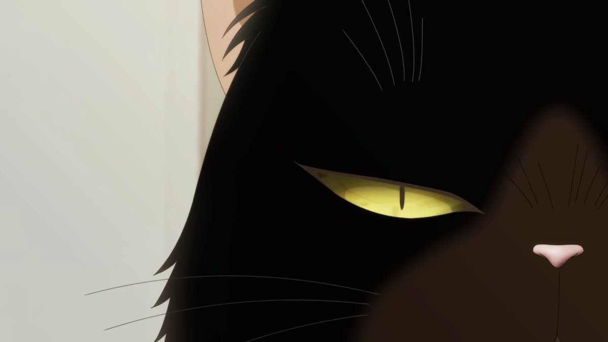 ⠀⠀⠀⠀⠀
                        " . . . "
                                                  
[ มนุษย์ไม่ได้เรื่องมากหน้าหลายตามีเพิ่มมากขึ้น ถึงเวลาแล้วที่แมวผู้สามารถอย่างข้าต้องมาทำความรู้จักมากขึ้นอีก ]

              [ ถ้าหิวก็บอกล่ะ 🍳 ]

#จะทำความรู้จักกับคนที่มารีทวิต