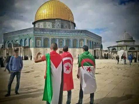 Hamdi Hamdi24 (@hhamdi24) on Twitter photo 