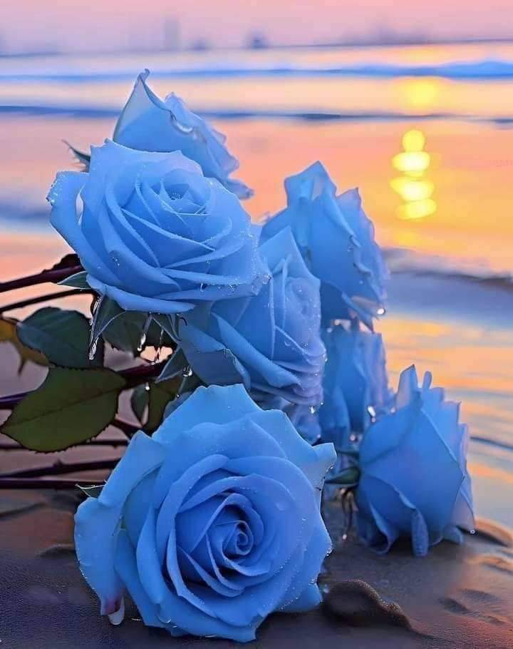 anthimanou's tweet photo. @AbhilasaGr https://t.co/R1Dptol1R3