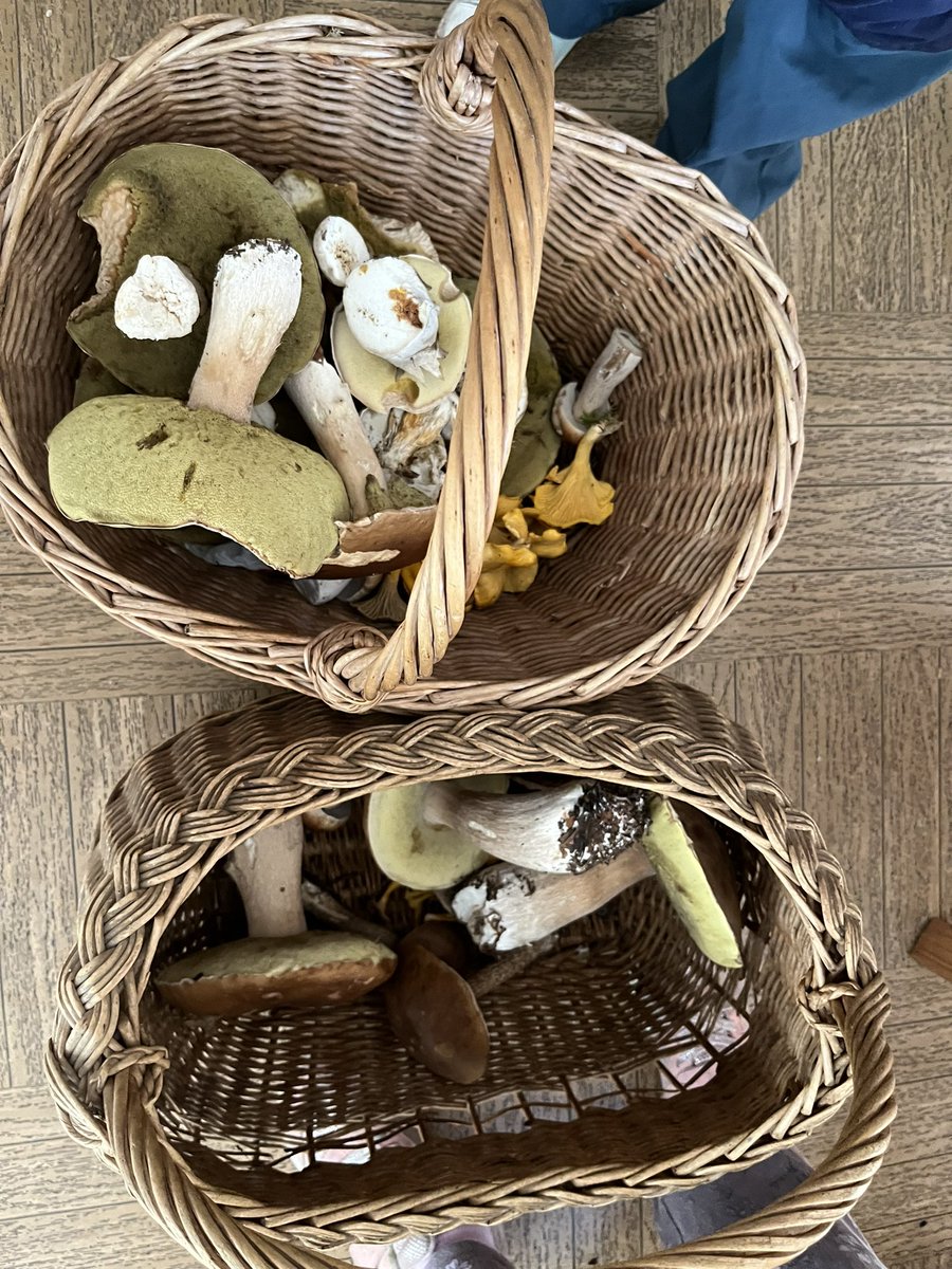 Not a bad haul given the weather