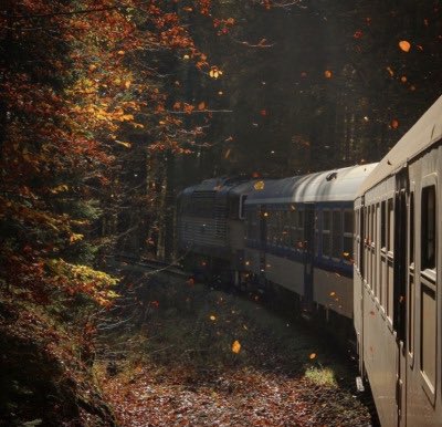 aperfectpumpkin's tweet photo. I will forever admire Autumn https://t.co/8fyaoJaug1