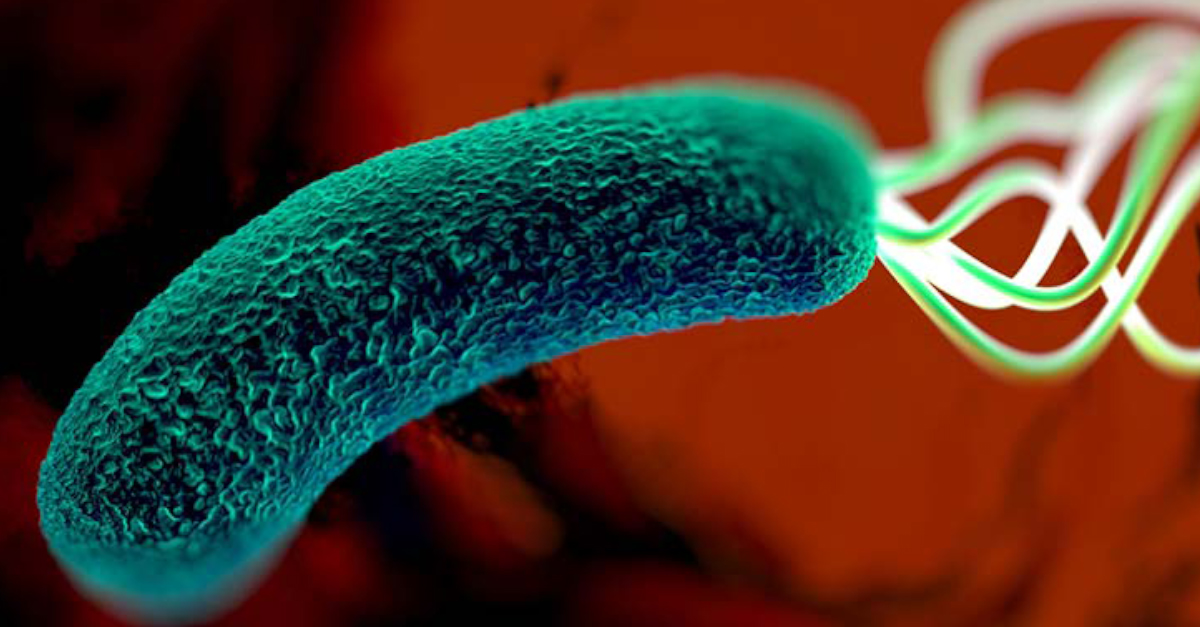 H pylori Resistance Rates Warrant New Approach to Therapy #GastroTwitter
ms.spr.ly/60169qKCO