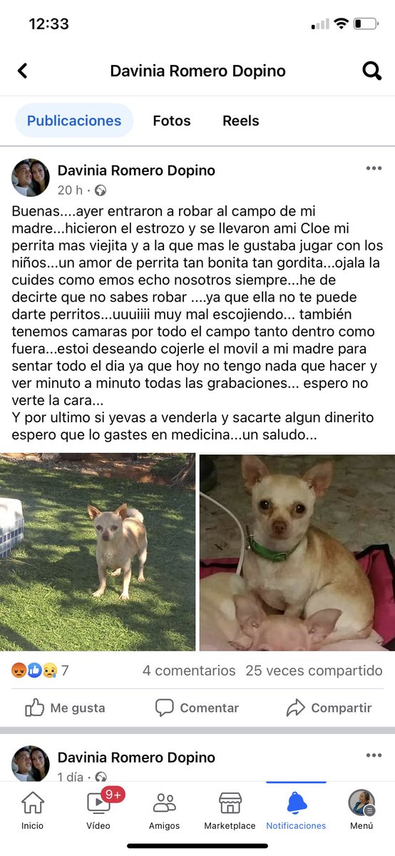 andrearoo21's tweet photo. Compartir PORFAVOR https://t.co/kgN68WqNOm
