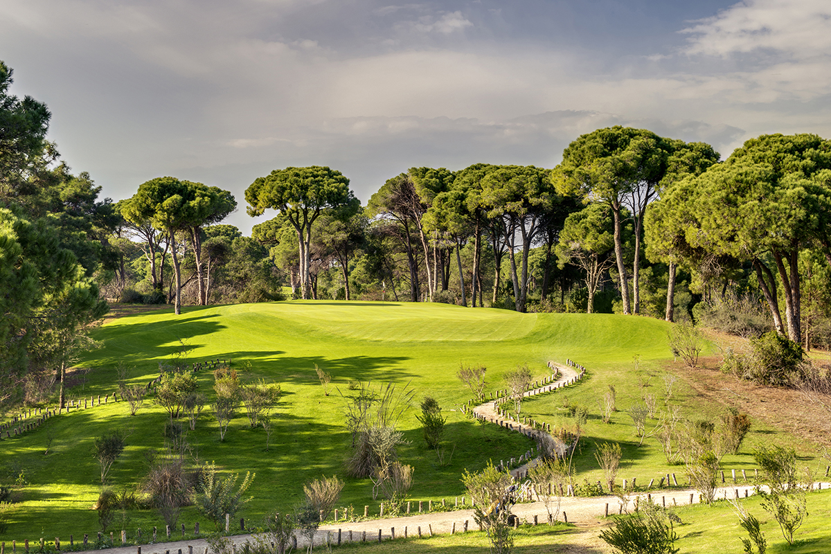 Golf Escapes tweet media