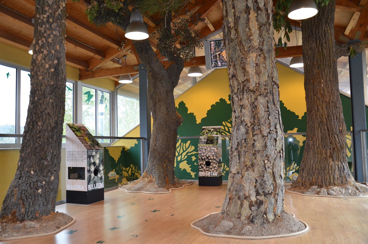 jcyl's tweet photo. 🌳 Si te gusta la naturaleza, no olvides que en #CastillayLeón contamos con 29 Casas del Parque que te ofrecen información y actividades para todas las edades a lo largo del año 

@naturalezacyl @patrimonionat 

https://t.co/PE4RjPzGU9 https://t.co/iXNyiDZsf8