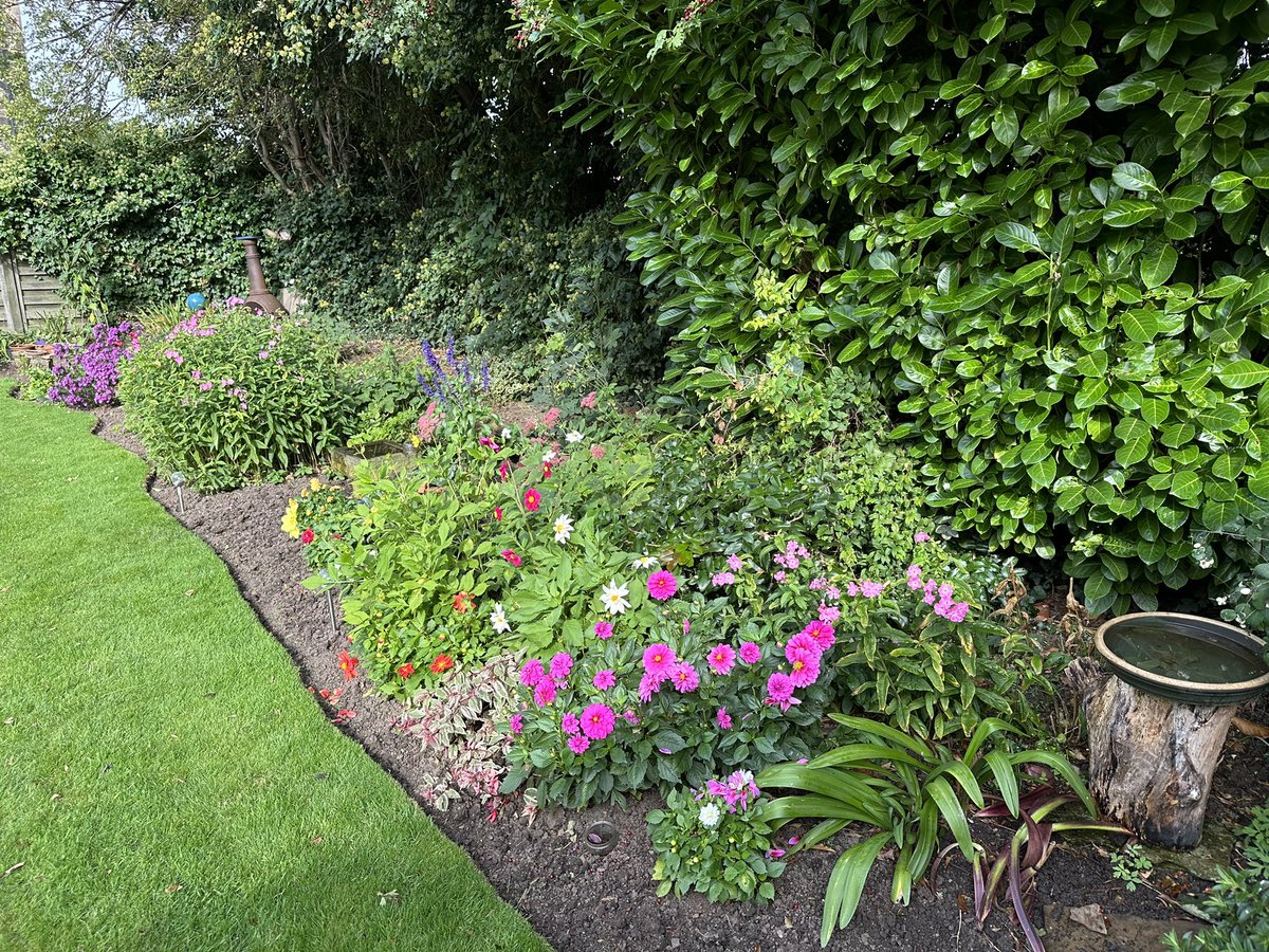 Left a corner of the garden to run wild with nettles, and help <a href="/savebutterflies/">Butterfly Conservation 🦋</a> - rewarded today with a kaleidoscope of butterflies fluttering around the garden 🦋👍