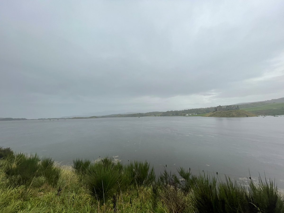 Shooting Times Classics tweet media