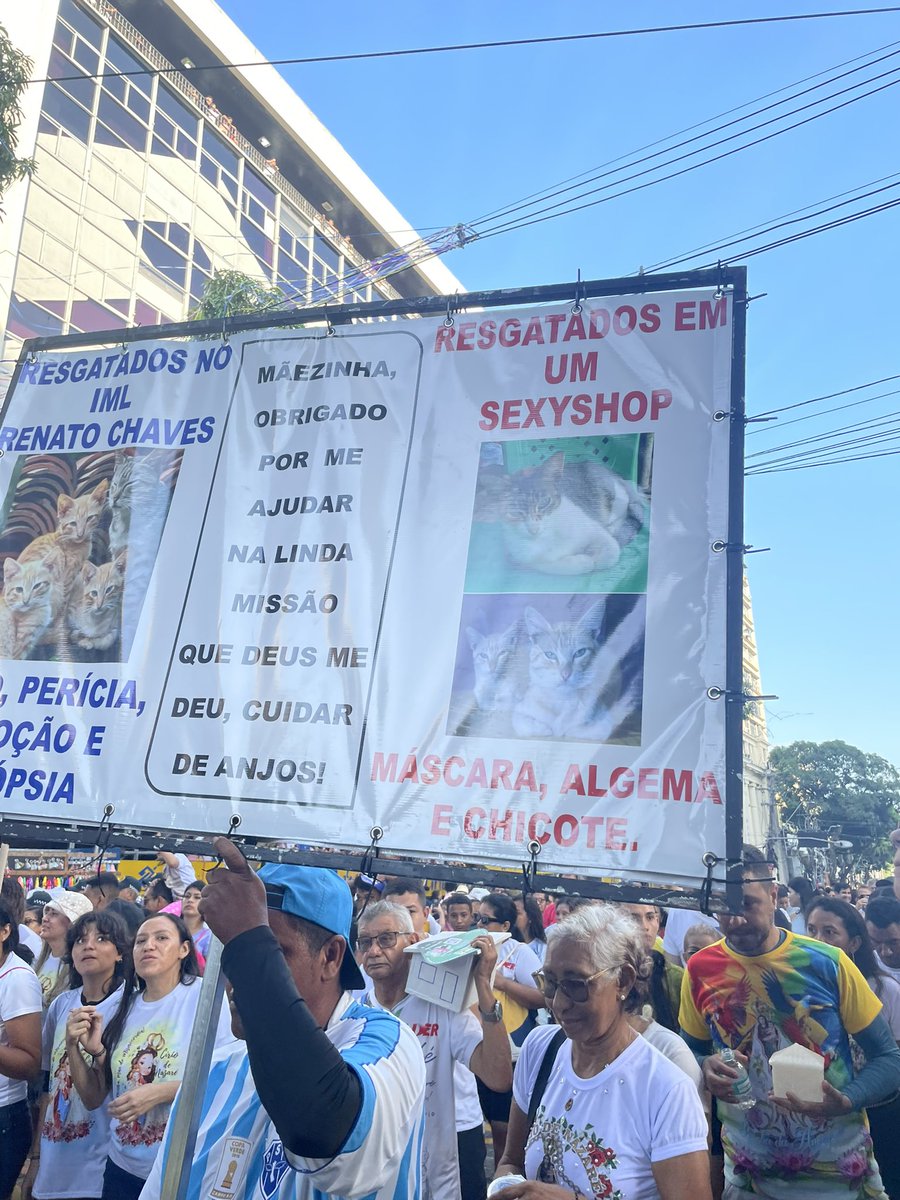 sweetdreamstnn's tweet image. naao 😭😭