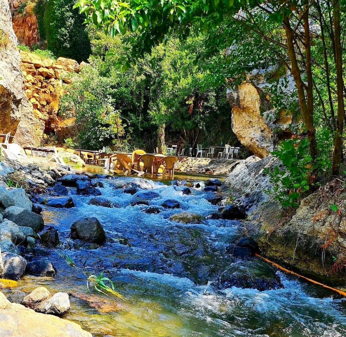 SamandagTV's tweet photo. 📍Musa Ağacı (Ab-ı Hayat Çeşmesi)

Rivayete göre Samandağ sahilinde buluşan Hz Musa ve Hz Hızır, birlikte dağa çıkarlar.

Hz Musa elindeki asayı toprağa saplar ve eğilip su içer. Dönüp baktığında asanın yeşerip fidana dönüştüğünü görür.

#Hatay #Antakya #Samandağ https://t.co/dRxE3E33ud