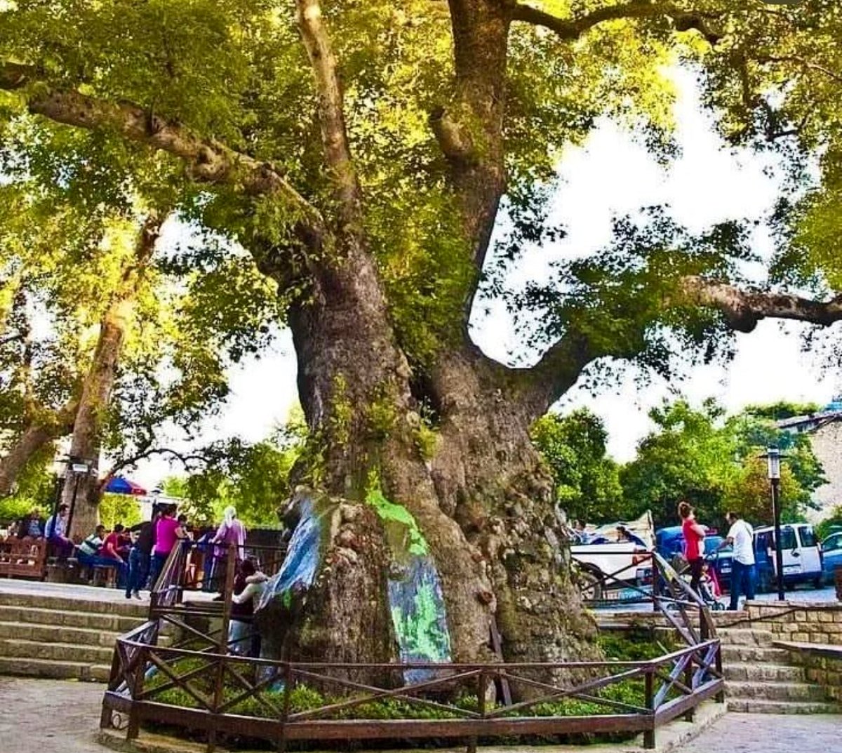 SamandagTV's tweet photo. 📍Musa Ağacı (Ab-ı Hayat Çeşmesi)

Rivayete göre Samandağ sahilinde buluşan Hz Musa ve Hz Hızır, birlikte dağa çıkarlar.

Hz Musa elindeki asayı toprağa saplar ve eğilip su içer. Dönüp baktığında asanın yeşerip fidana dönüştüğünü görür.

#Hatay #Antakya #Samandağ https://t.co/dRxE3E33ud