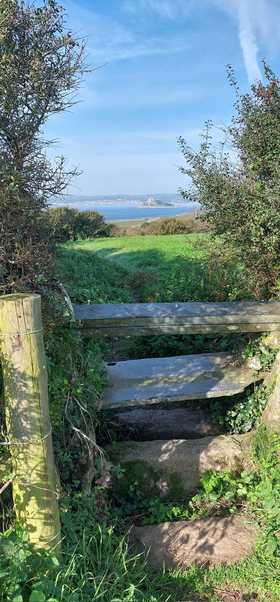 BevHunt72's tweet photo. So have turned inland on my #Walk32 of 55 to raise funds for #OneMedicine @HumanimalTrust .. en route back to #Perranuthnoe...it's been a lovely day..almost like summer..https://t.co/Qfp9d2j80g https://t.co/rGycuUdYIo