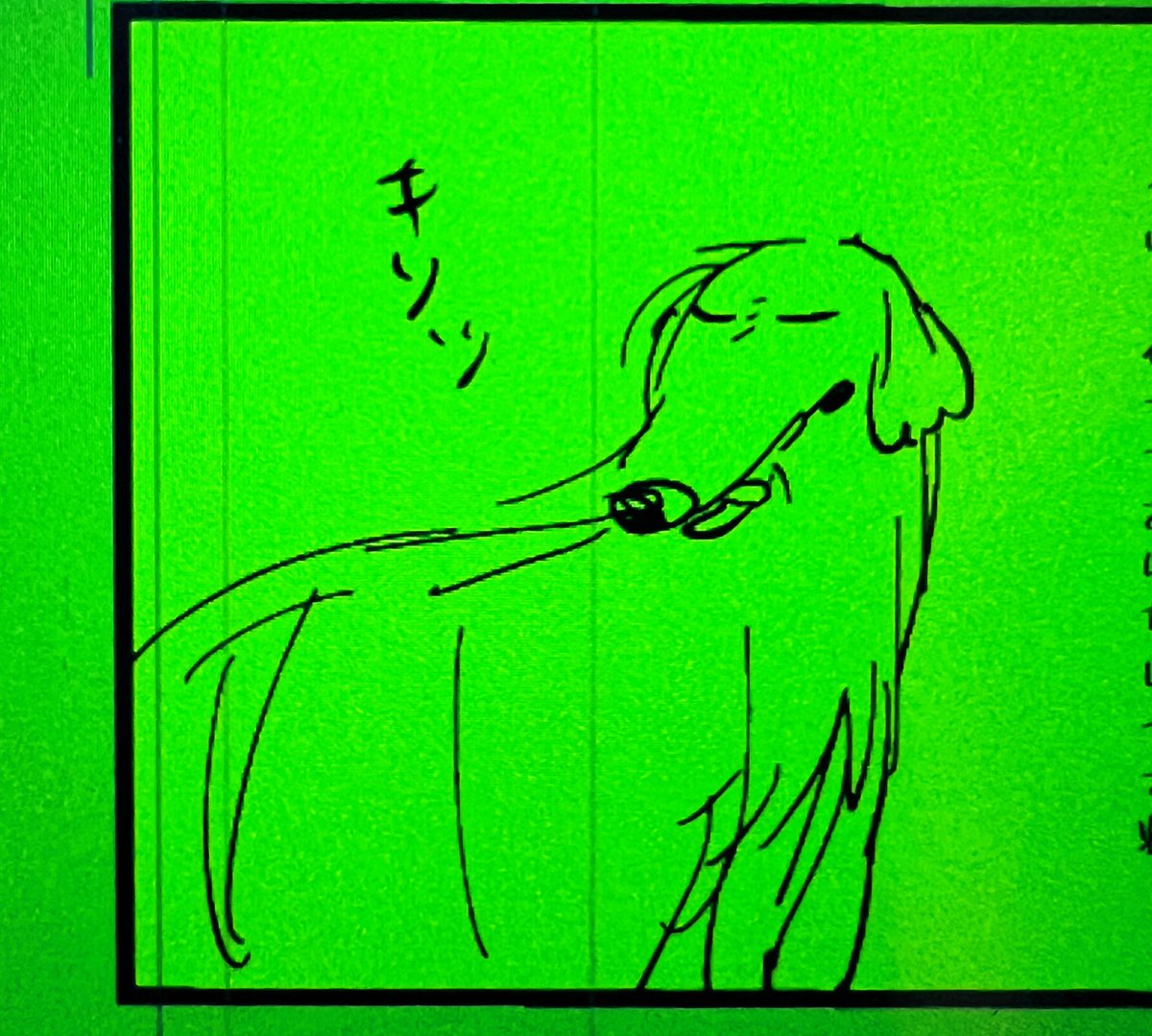 ゆるいアレくん