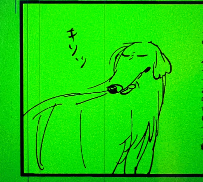 ゆるいアレくん