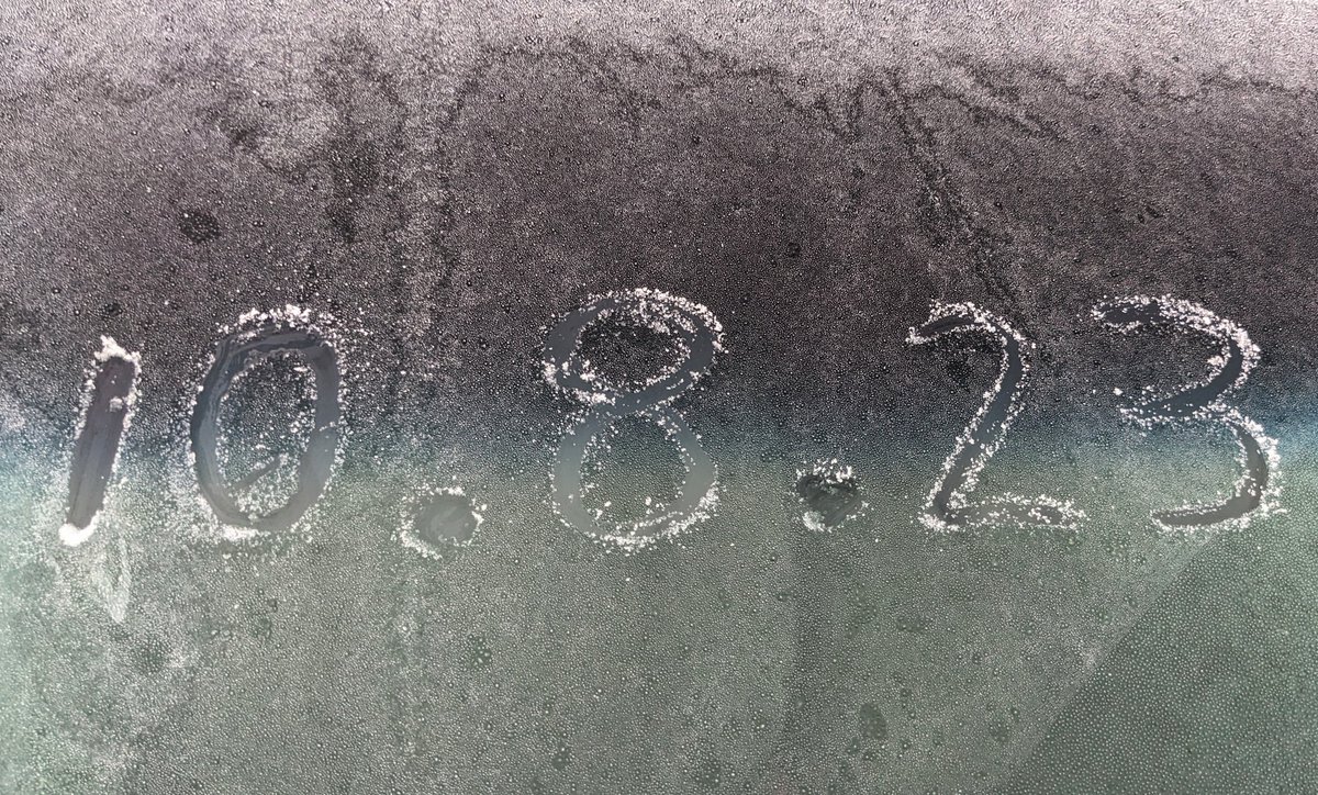 localyokelwx's tweet photo. First Frost on 10.8.23
#waynesville #WAYN https://t.co/cjvMEkwpP8