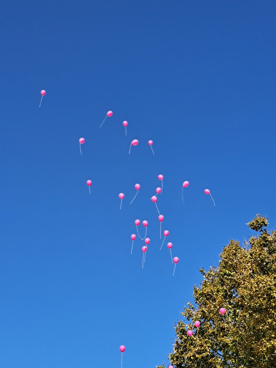 Le barreau de Laval soutient les foulées roses contre le cancer du sein