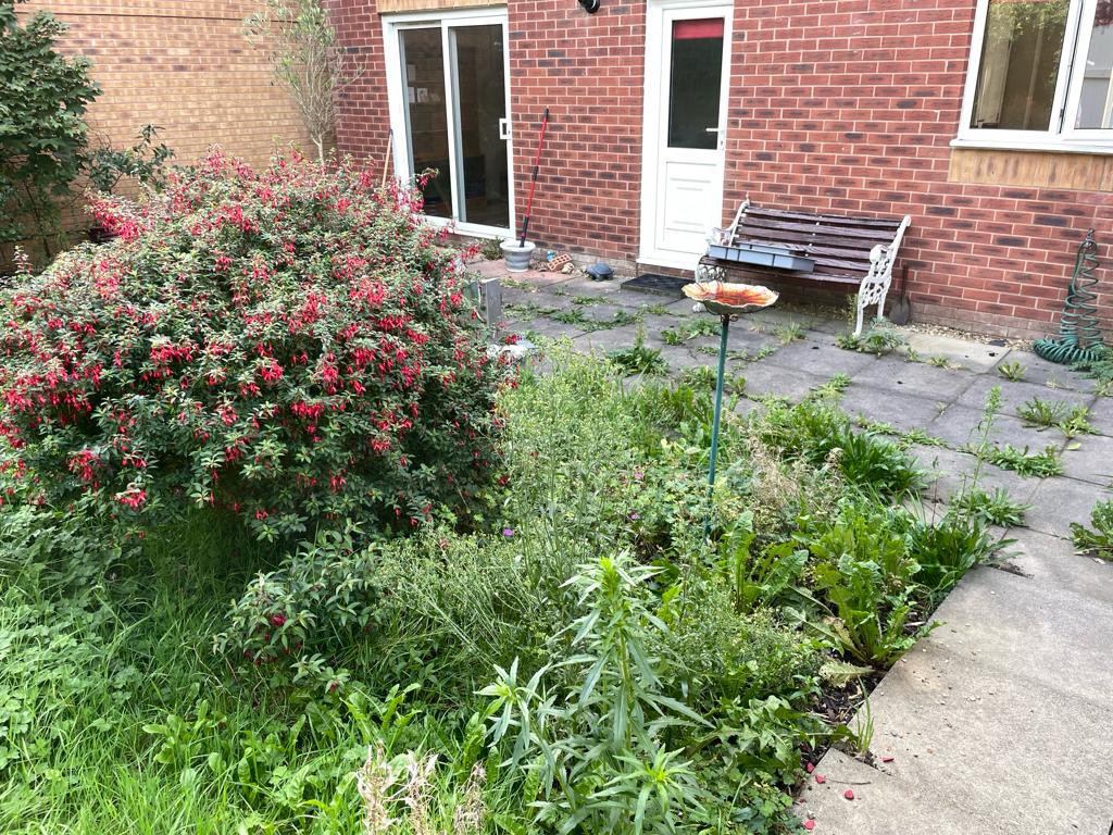 The Kelly Line tweet media