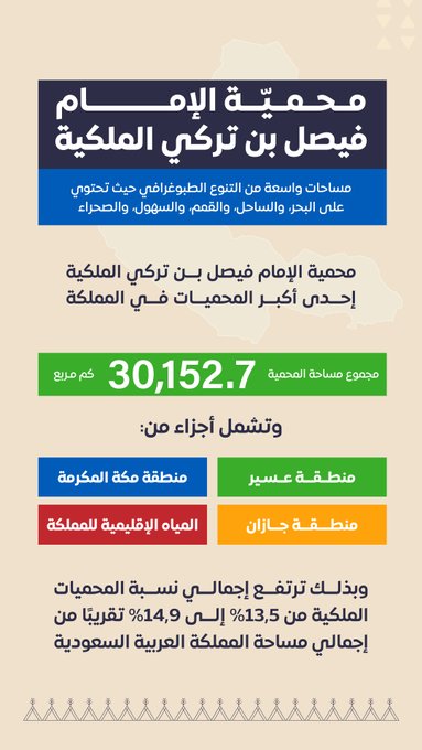 الصورة