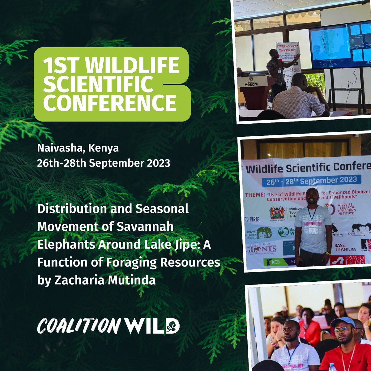 EXCELerator alumnus Zak Mutinda gave a talk on “Distribution and Seasonal Movement of Savannah Elephants Around Lake Jipe” at the recent Wildlife Scientific Conference in Naivasha last September 26-28, 2023 in Naivasha, Kenya!