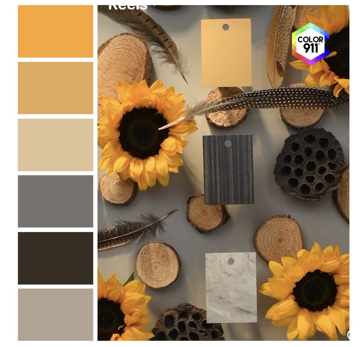 Capturing the delicious #colors of the season w the #Color911 #app helps remember or match them. photo: @formicagroup! Looking for #inspiration from a #color expert? Try Color911, Color911.com I think you’ll love it! #interiordesign #designer #kitchen #bathroom #design