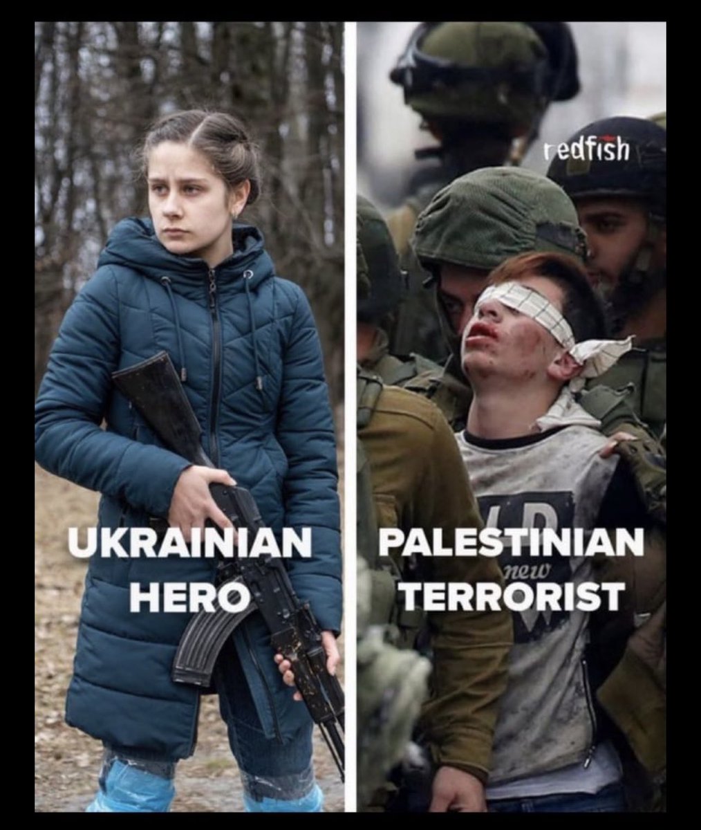 Rodium-A tweet media