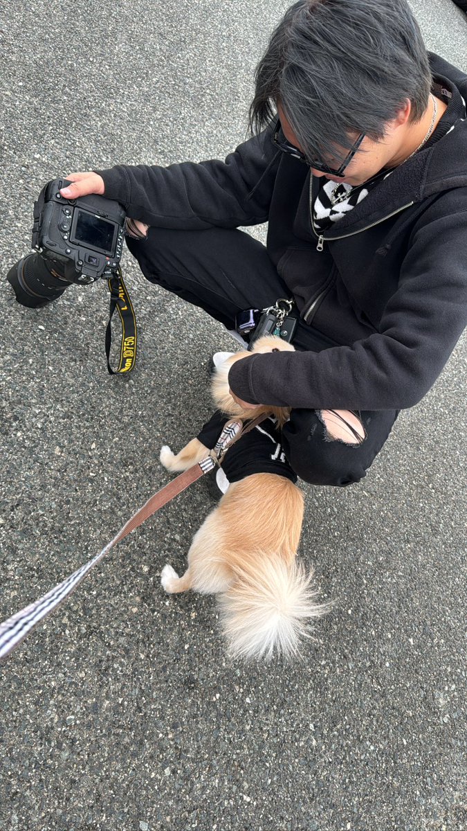 Kyqna1's tweet photo. トラコネ見学行けて良かった🤟🏾
つばへぇに愛犬の写真撮ってもらえたし
満足🦁💛久しぶり楽しかった🚗✨ https://t.co/vIpBMqkgzo