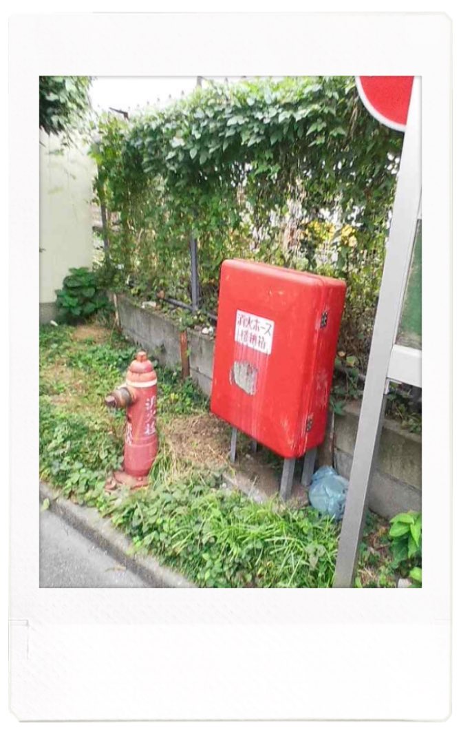 sa_camera828's tweet photo. 帰り道
instax  palで写真を撮りたい感覚を取り戻したい😌
次の休みはコスモス撮りに行こうかなぁ。
#instaxpal https://t.co/RQ1Igb7KsK