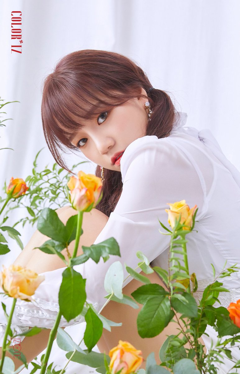 izone_5yrs's tweet photo. IZ*ONE (#아이즈원) - 1st Mini Album [COLOR*IZ] OFFICIAL PHOTO 3  

#JoYuri #MiyawakiSakura #JangWonyoung 
#COLORIZ #20181029_6PM https://t.co/jwjUzeFN0R